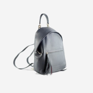 Blue BackPack - Image 1